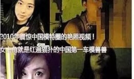 兽兽视频手机在线观看,畅享高清娱乐新体验